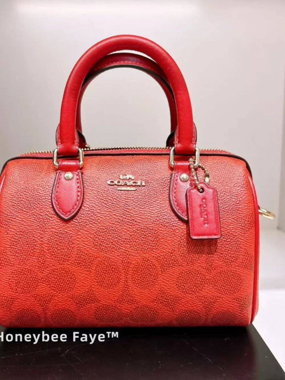 Coach Mini Rowan Crossbody Bag In Signature Canvas CEY63